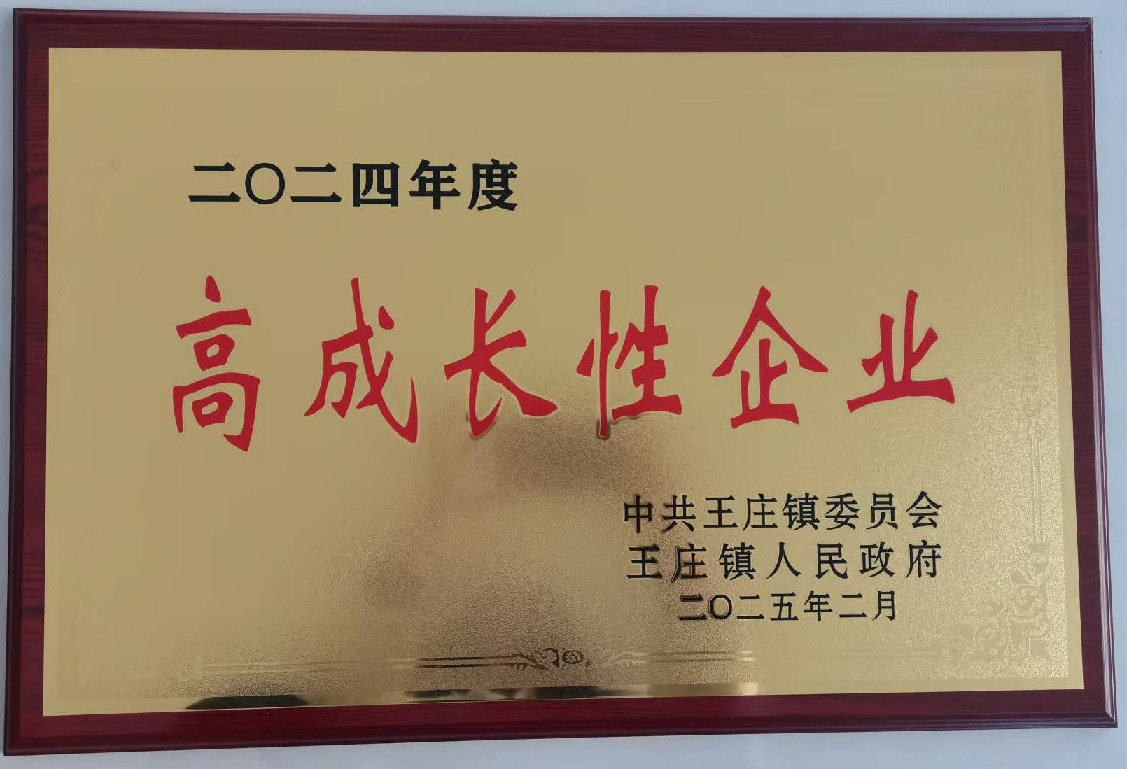 高成长性企业